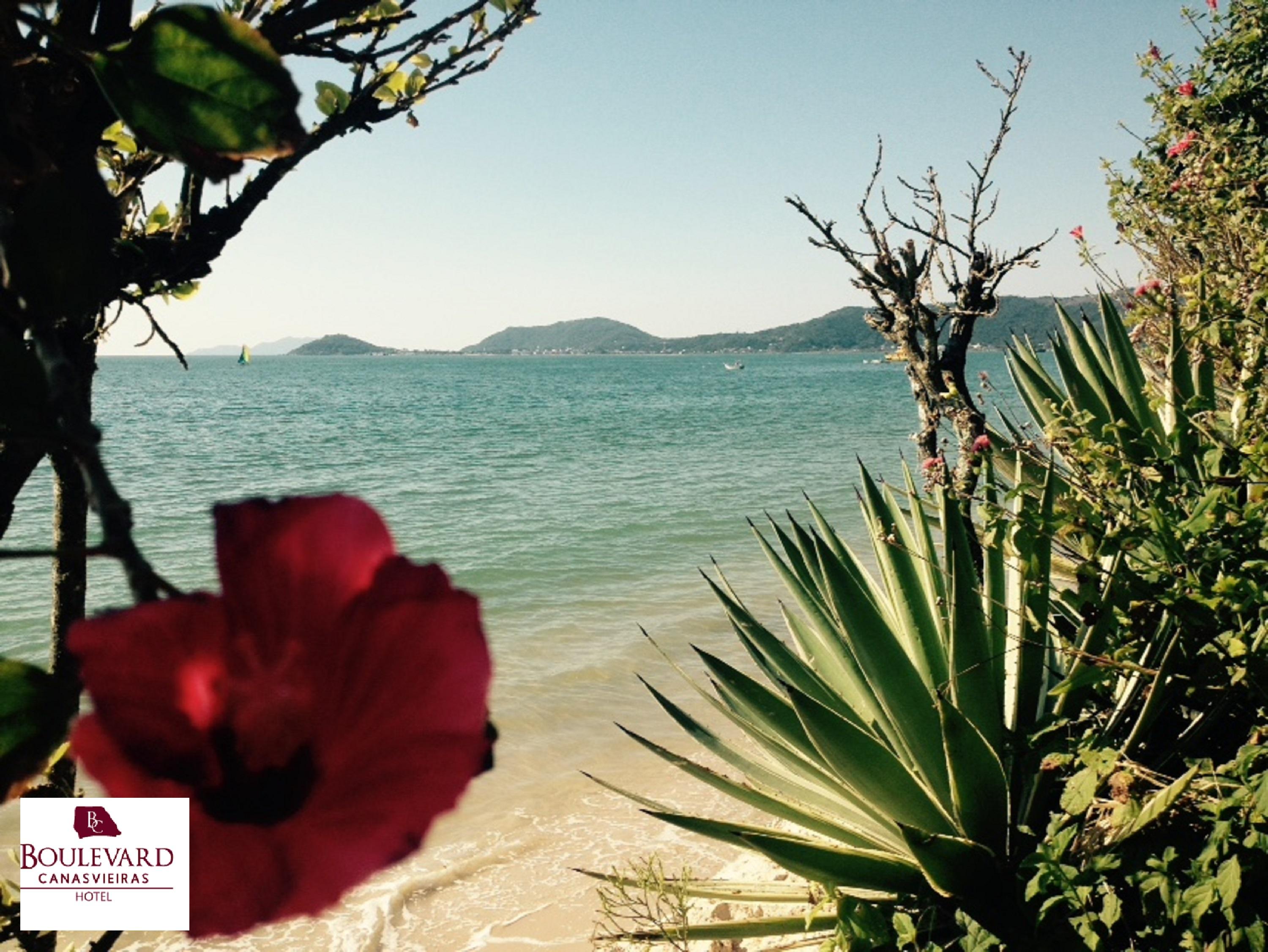 Boulevard Beach Canasvieiras Hotel Florianópolis Екстериор снимка